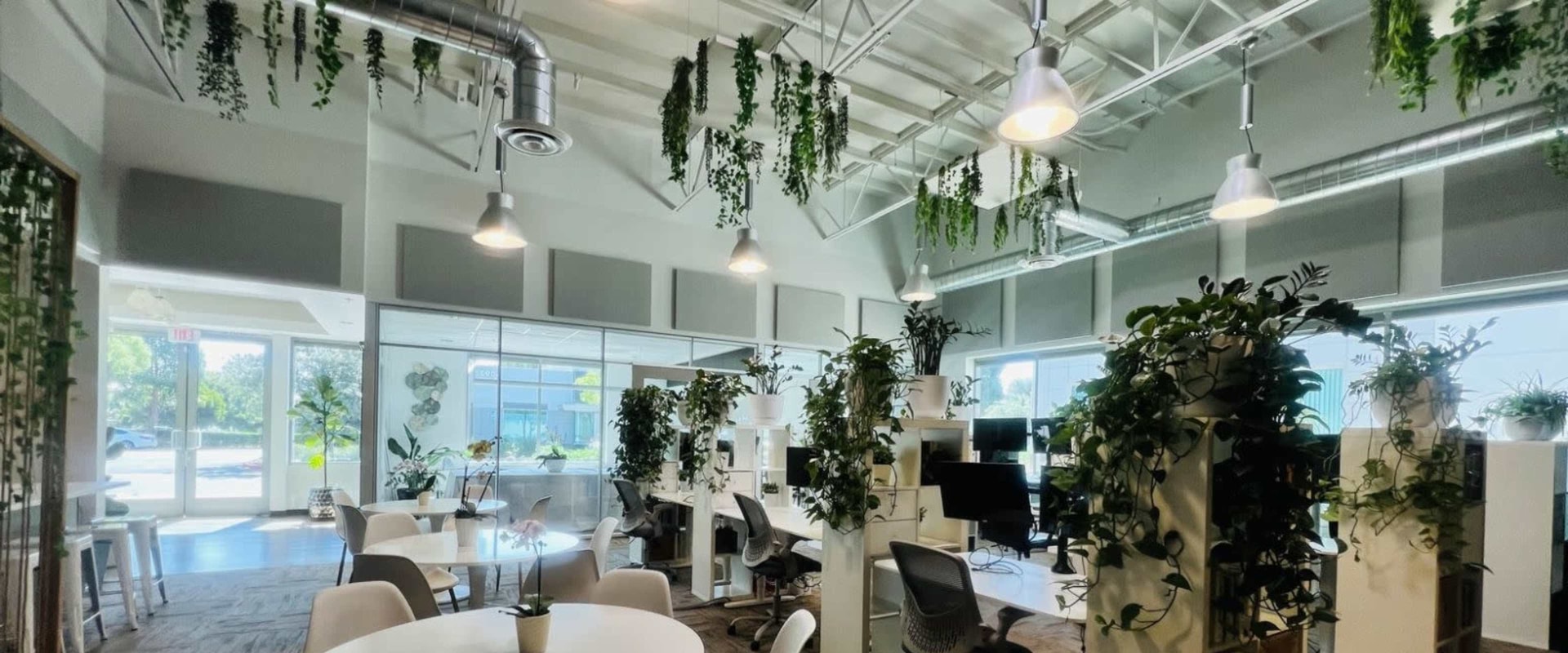 Exploring Business Networking Events in Carlsbad, CA