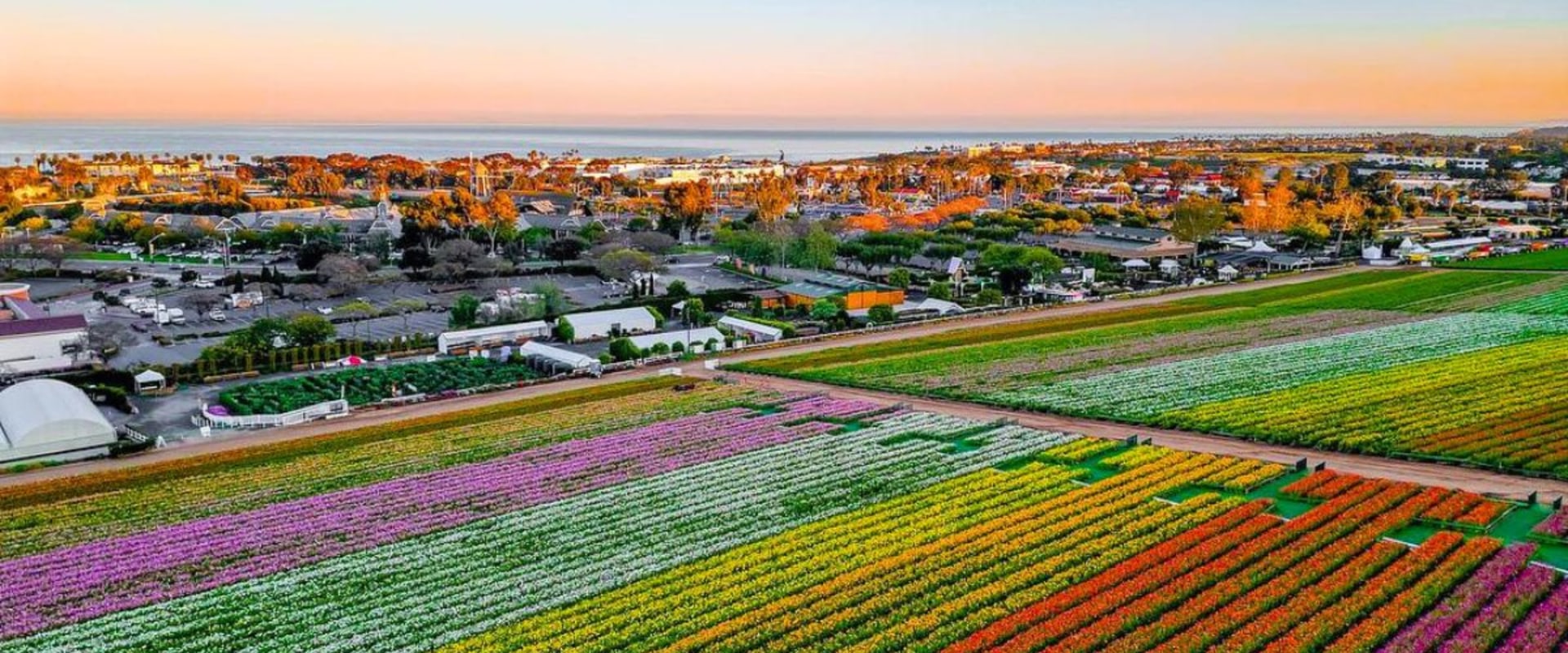 What Is Happening in Carlsbad CA This Spring 2026