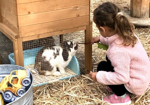 Explore Volunteer Opportunities in Carlsbad, CA